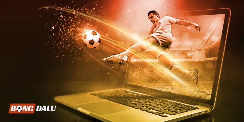 Hệ thống trở thành cánh tay đắc lực của đông đảo cược thủ