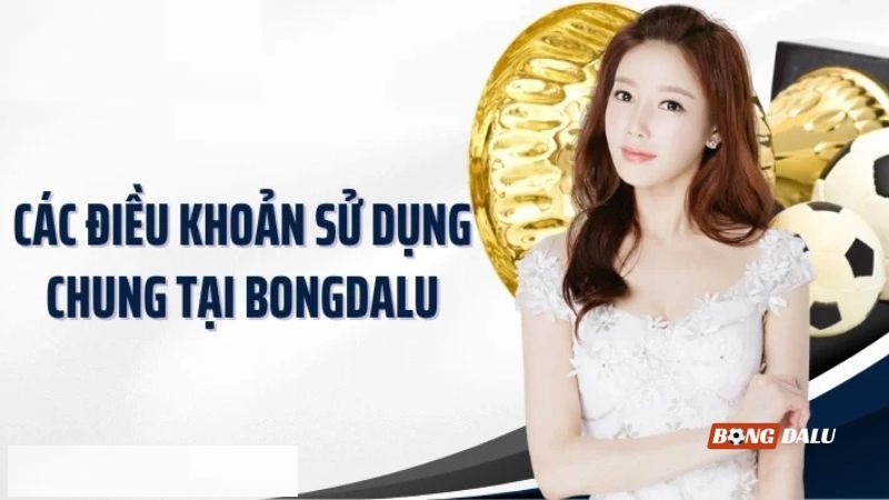 Khám phá các quy định quan trọng trong chính sách điều khoản sử dụng Khám phá các quy định quan trọng trong chính sách điều khoản sử dụng